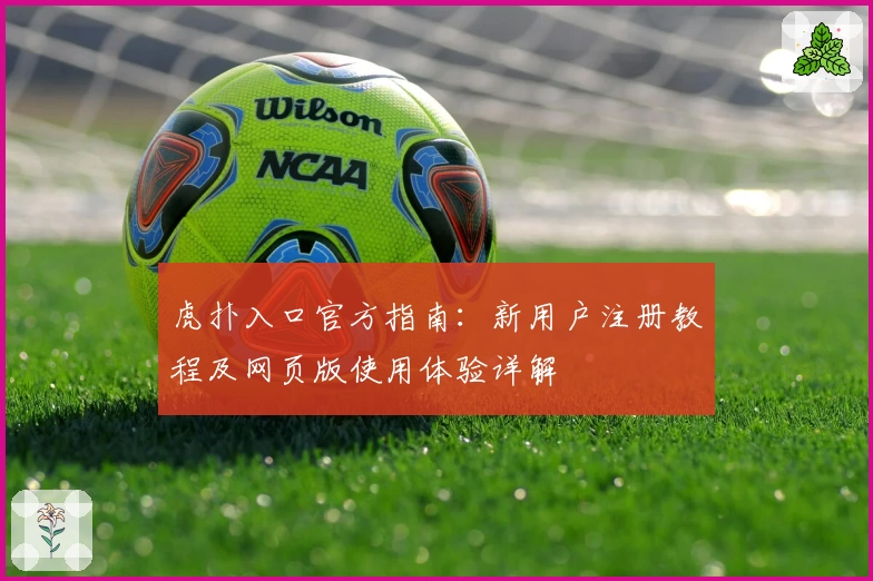 虎扑入口官方指南：新用户注册教程及网页版使用体验详解