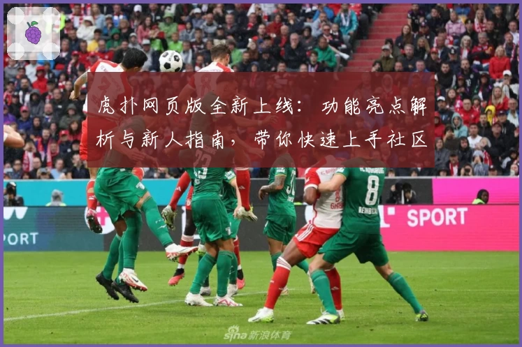 虎扑网页版全新上线:功能亮点解析与新人指南,带你快速上手社区互动新体验